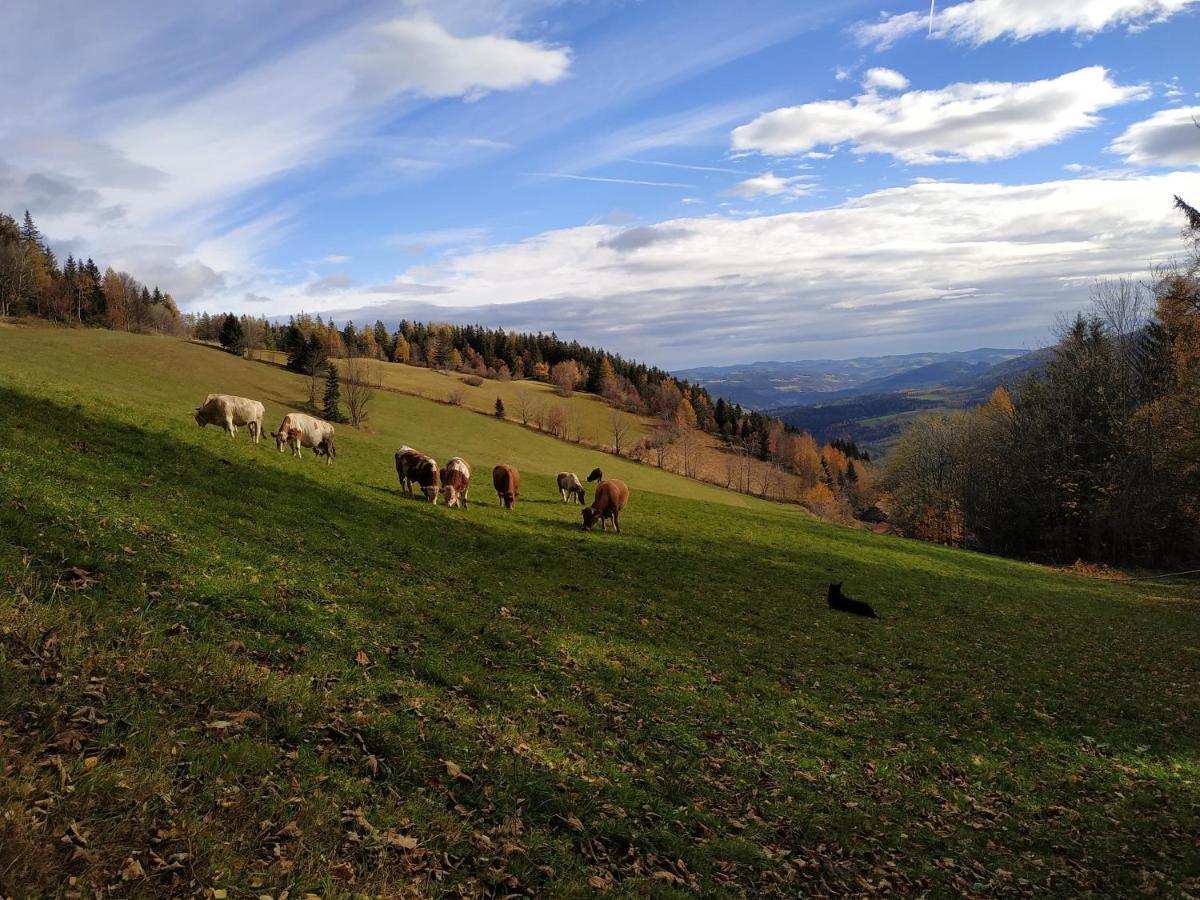 Almbauer Morgenbesser Trattenbach  Buitenkant foto