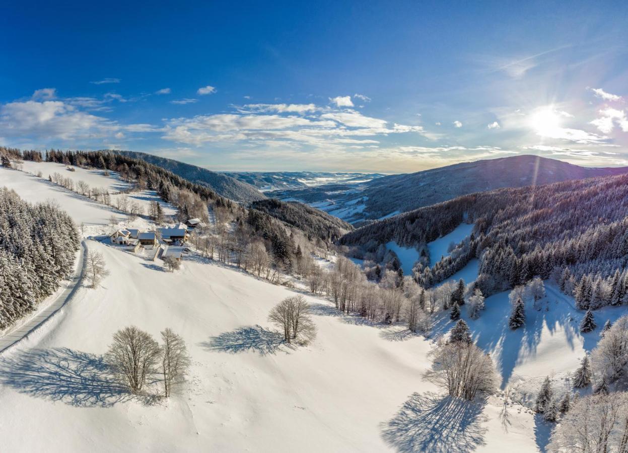 Almbauer Morgenbesser Trattenbach  Buitenkant foto
