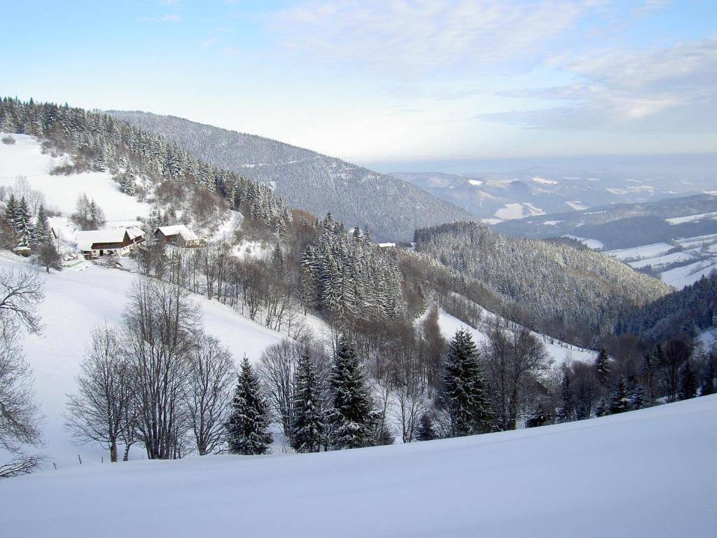 Almbauer Morgenbesser Trattenbach  Buitenkant foto